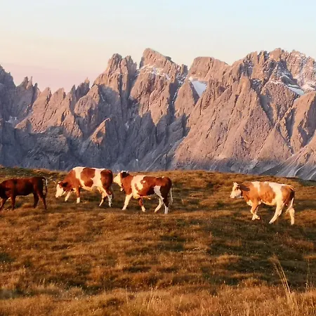 Judith Силлиан