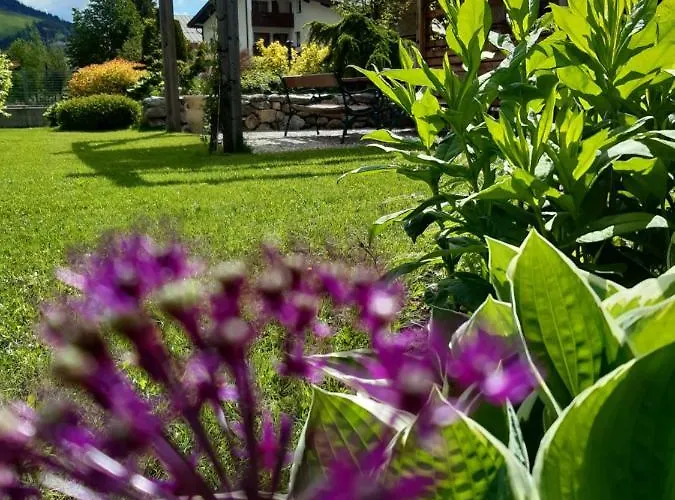 Judith * سيليان